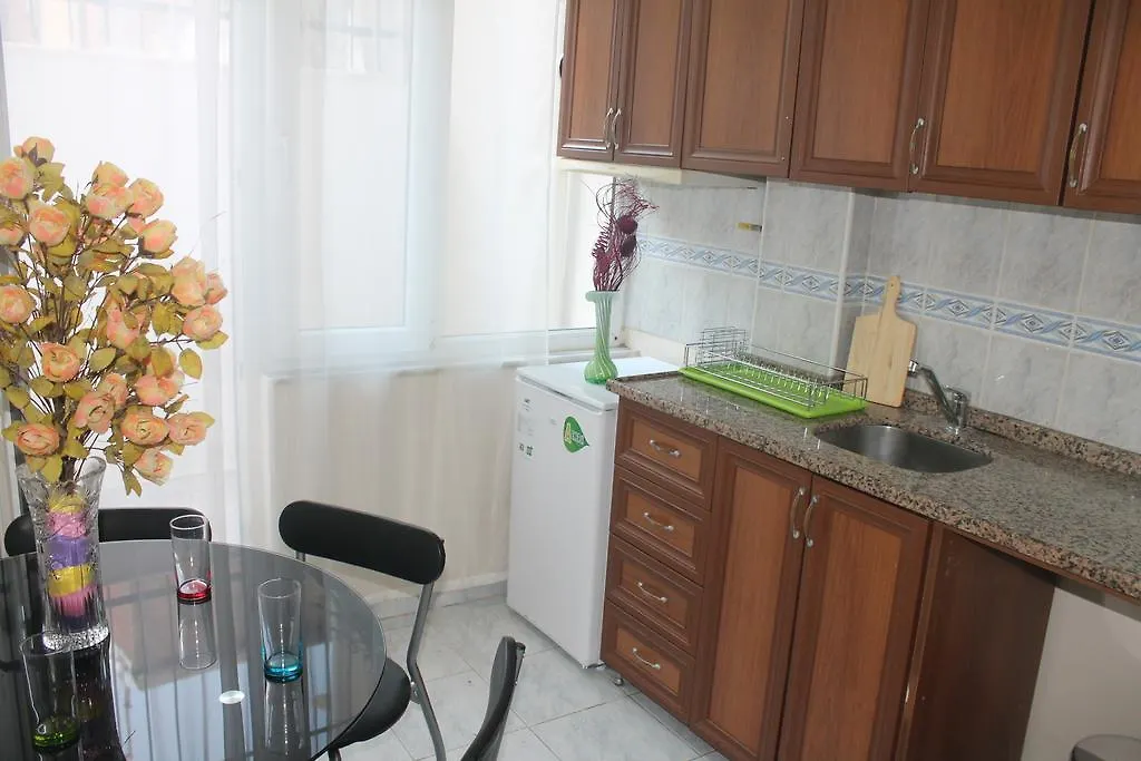 Pera Apartment 伊斯坦布尔 土耳其