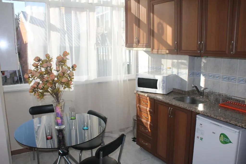 Pera Apartment 伊斯坦布尔