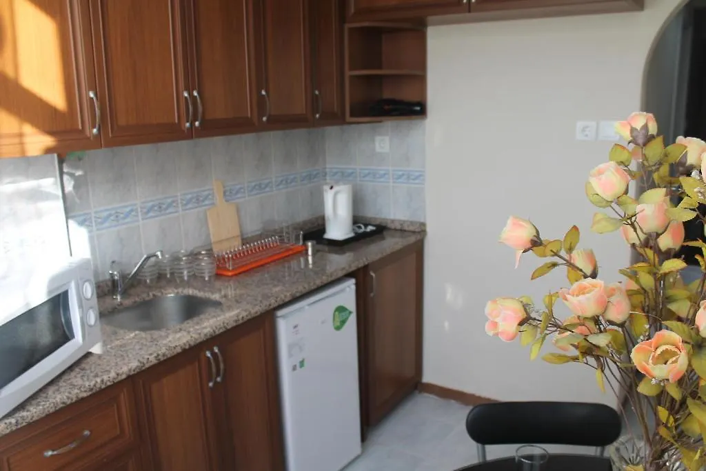 Pera Apartment 伊斯坦布尔