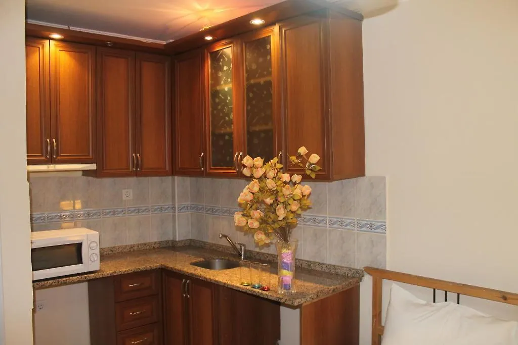 Pera Apartment 伊斯坦布尔