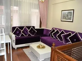 Pera Apartment 伊斯坦布尔